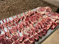 मेढ़ा, Rhon sheep — फ़ोटो 7