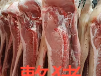 Свинина оптом — полутуши и разделка 批发猪肉 整猪 猪胸肉 猪耳 猪腿肉 猪胃肉 猪心 猪舌 - — الصورة 1
