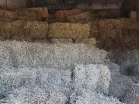 Продам сено — الصورة 4