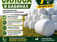 Силос в бабинах из свежей кукурузы - Питательный и вкусный корм — Foto 1