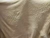 говяжьи и бараньи субпродукты — Foto 5