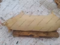 Қабан, Шошқалар — 2-сурет
