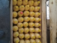 Токтогулдун Сары май.топленое масло натуральный л 1000 сом в Кара — Foto 1