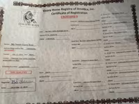 Бие, Жылқылар — 5-сурет