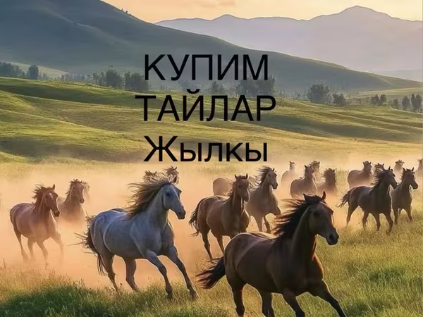 Айғыр, Horse breed