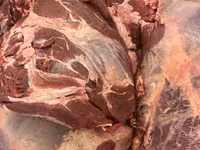 Мука мясная КРС — foto 1