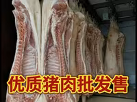 Продажа мясо свинины 猪肉批发及零售 Есть все всегда в наличии. мясо свинина — photo 2