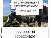 Туша, Самовывоз — 4-сурет