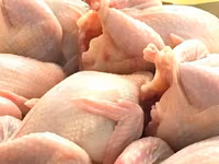 Prepelite: carne, oua, taietei, afumate, marinate, congelate, maioneza, pate, carne inabusita etc.. — 2-сурет