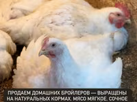 Продаем домашних бройлеров — выращены на натуральных кормах с особым — 照片 1