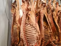 Свинина в полутушах — foto 1