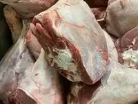 Мясо индейки прямо от производителя — photo 2