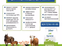 Пробиотическая кормовая добавка Амилоцин — الصورة 3
