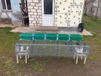 Cuști pentru iepuri клетка для кроликов — Foto 1