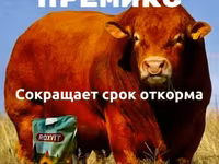 Премикс для ускоренного откомра КРС и МРС — foto 1