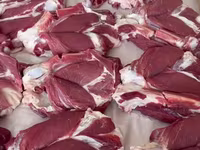 मेढ़ा, Rhon sheep — फ़ोटो 5