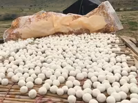Курут, Солёный, В розницу — 1-сурет