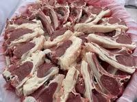 公羊, Sheep — 照片 6