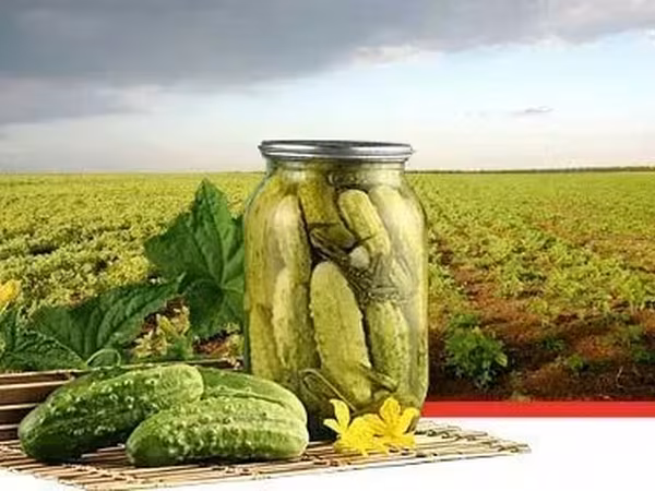 оборудования для консервации ( солений )