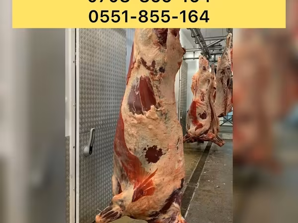 Бұқа, Ірі қара — Қырғызстан