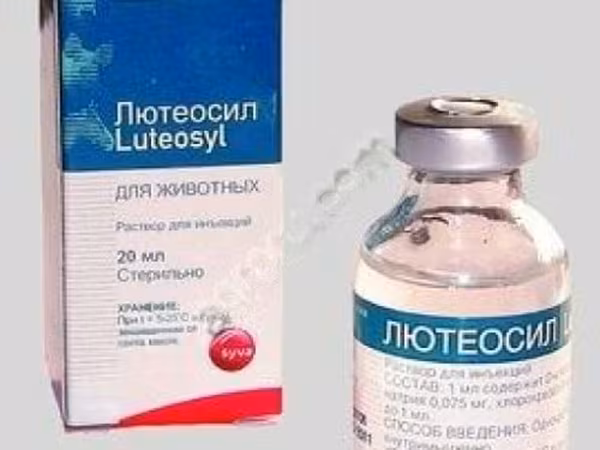 Лютеосил / содержит 0,125 мг D-клопростенола натрия./20 мл