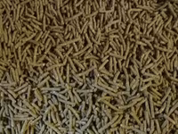 Granule pentru iepuri de calitate superioara.Edineț.facem livrare — Foto 2