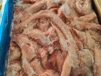 Сухожилия говяжьи tendon — foto 4