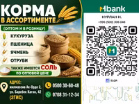 Корма в ассортименте (оптом и в розницу) Ассортимент: - Кукуруза - — الصورة 2