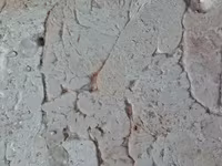Жир внутренний сырец 1-я группа — الصورة 3