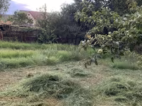 БЕСПЛАТНО!!! Чопту чаап берсениздер бесплатно берем чопту Сено из — Foto 2