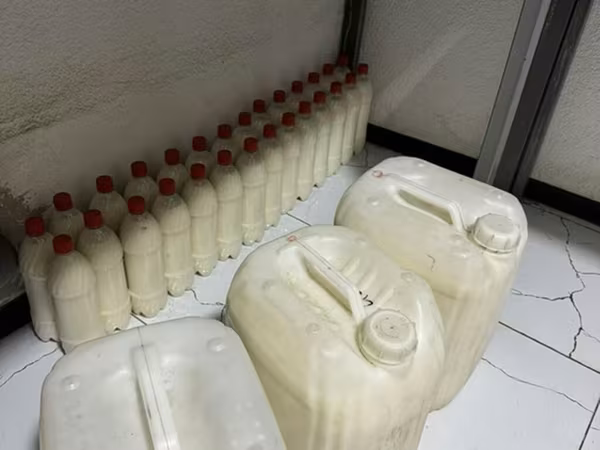 Коровье молоко, Домашнее, Оптом