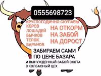 Бұқа, Ірі қара — 2-сурет