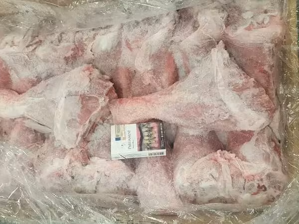 Индейка, кура