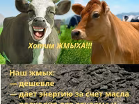 Жмых подсолнечный ракушка — photo 2
