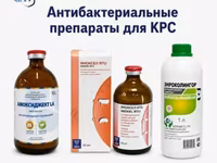 Антибактериальные препараты для КРС — फ़ोटो 1
