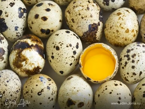Chickens — Қырғызстан