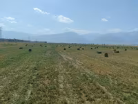 Сено в тюках (люцерна) - Кормовая люцерна, спрессованная в — 1-сурет