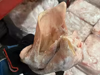 Уши свиные замороженные — 照片 2