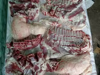 Қошқар, Rhon sheep — 2-сурет