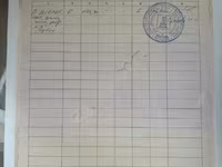Шерсть мериноса 64К 2С — Foto 4