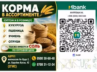 Корма в ассортименте (оптом и в розницу) Ассортимент: - Кукуруза - — الصورة 1