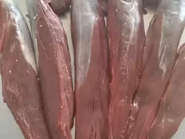 Бычий бон филе— вырезка (филе). Длинные цельные куски без кости
