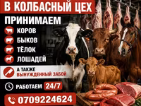 Туша, Самовывоз — 1-сурет
