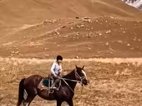 حصان, الخيول — الصورة 2
