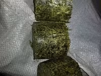 Vindem furaj granulat pentru chinchilla si nisip tratat. — 2-сурет