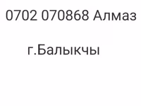 Қой, Tian-Shan semifinewool sheep — 5-сурет