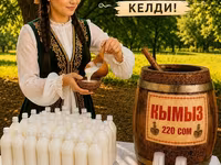 Кымыз, саамал, В розницу, Бесплатная доставка — фото 1