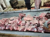 Баранина и субпродукты. Забой и разделка на мясокомбинате — photo 2