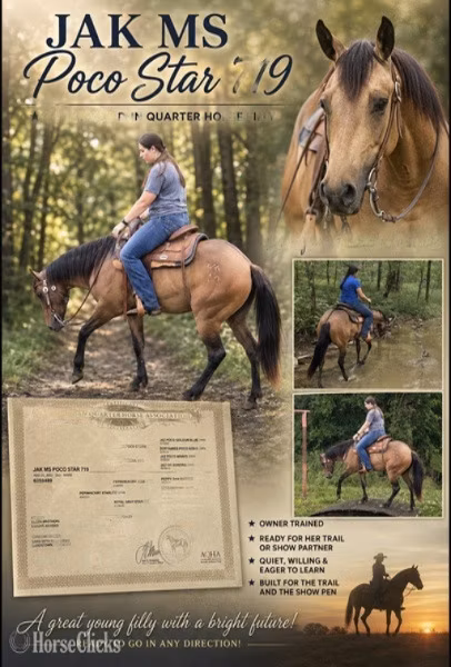 Квотерхорс